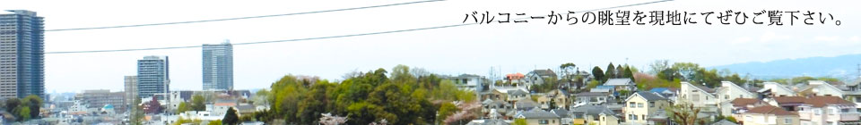 2号地2階からの眺望